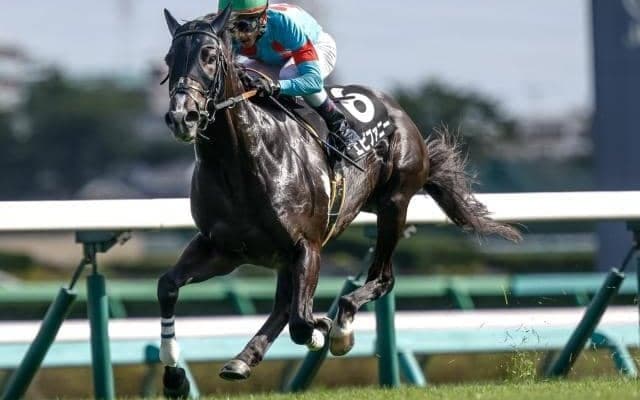 【中山金杯予想オッズ】エピファニーが予想1番人気