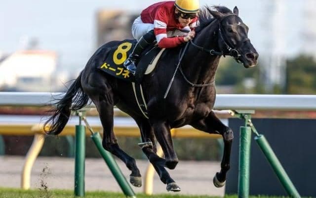 【京都金杯展望】波乱必至のハンデ戦も軸は前走がオープン特別の馬