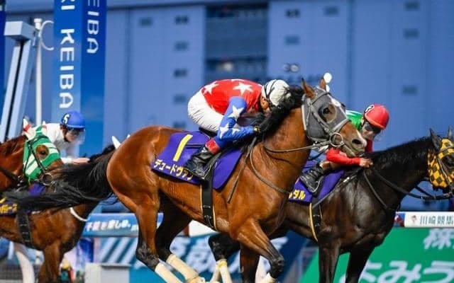 【川崎・川崎マイラーズ結果】デュードヴァンが差し切って重賞初制覇！