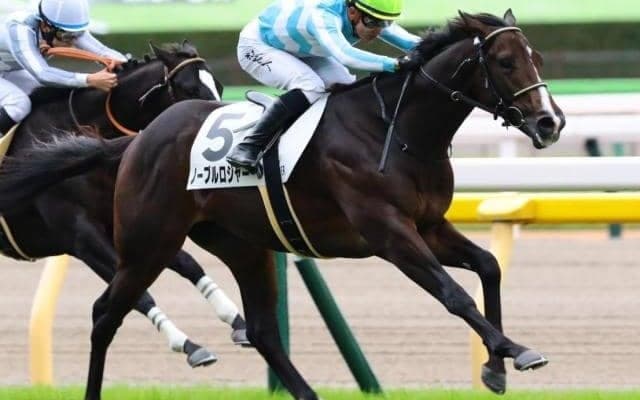 同牝系に快足サイレンススズカ  ノーブルロジャーがシンザン記念で重賞Vなるか