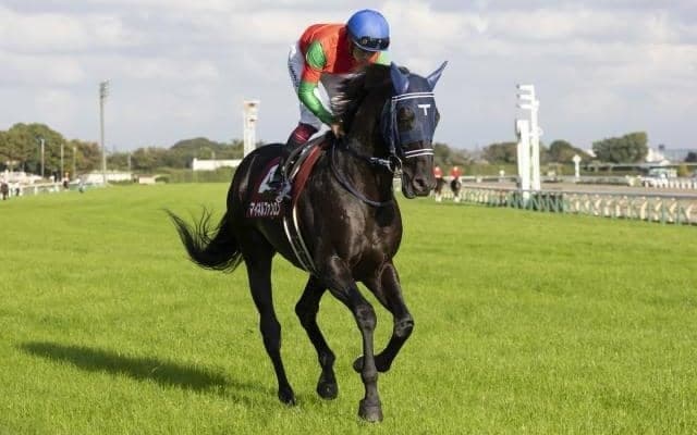 【中山金杯予想】AIが推奨したのは超人気薄!? 内枠を引けば激走も…