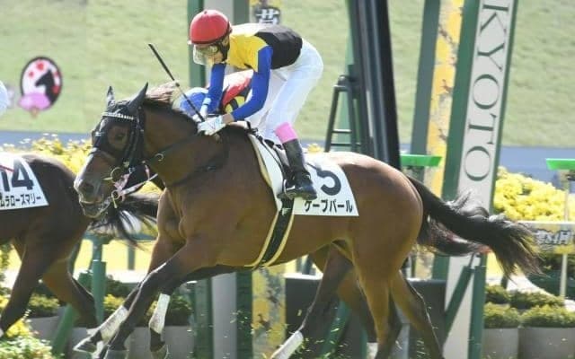  【シンザン記念展望】好走条件にマッチするケーブパールの巻き返しを期待