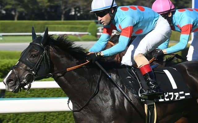 【中山金杯出走馬・騎手確定】エピファニー＆R.ピーヒュレク騎手、マテンロウレオ＆横山典弘騎手など17頭