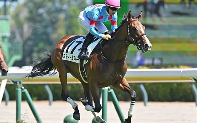 【フェアリーS出走馬・騎手確定】スティールブルー＆C.ルメール騎手、キャットファイト＆坂井瑠星騎手など14頭