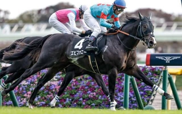 【中山金杯・調教後馬体重】エピファニーは510kg、マイネルクリソーラは458kg