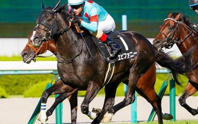 馬名は中山金杯当日1月6日に深い縁!? 自らを祝う重賞初Vなるか