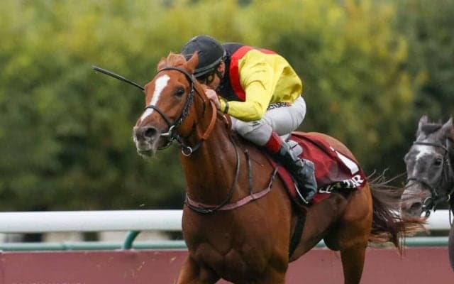 凱旋門賞ジョッキー・ピーヒュレクなど外国人5人が参戦