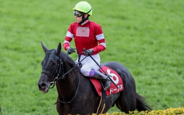 【京都金杯】出走馬の調教後の馬体重