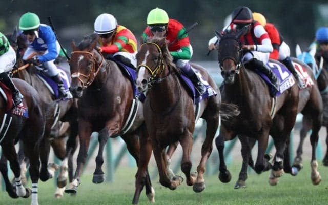 【中山金杯】出走馬の調教後の馬体重