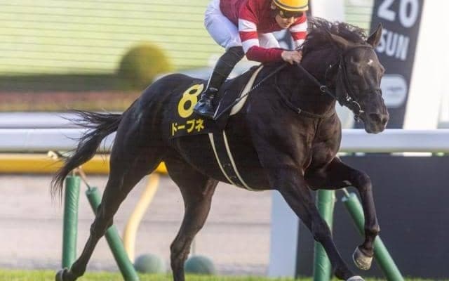 藤田晋オーナーの5億円馬 トップハンデ克服し京都金杯Vなるか