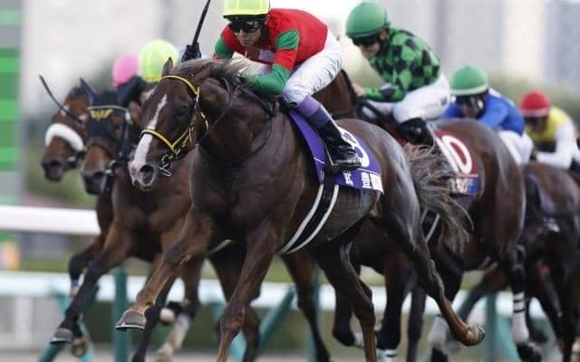 【中山金杯予想】狙いは前走好走馬？ 馬体重が明暗を分けるハンデ重賞