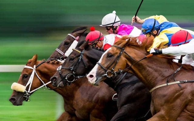 【中山金杯／穴ライズ】「一戦毎に本格化、人気一角との比較でハンデも◎」　単勝“6人気”前後の刺客