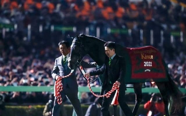 GI・3勝タイトルホルダーが登録抹消 今後はレックススタッドで種牡馬に