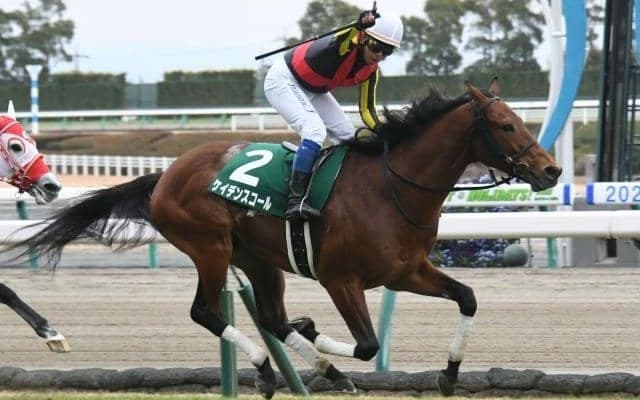 東西金杯で万馬券が出やすいのはどっち？ 過去30年の高配当をチェック