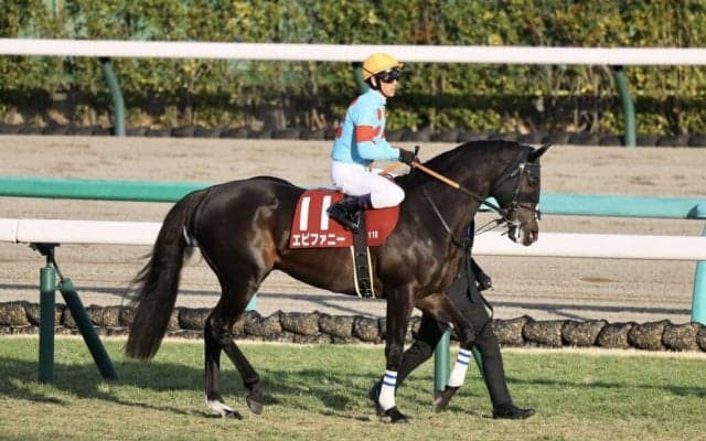 【中山金杯】ピーヒュレク騎乗、エピファニーは2枠4番へ