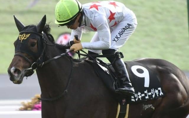 【愛知杯想定馬・騎手】ミッキーゴージャス、コスタボニータなど15頭