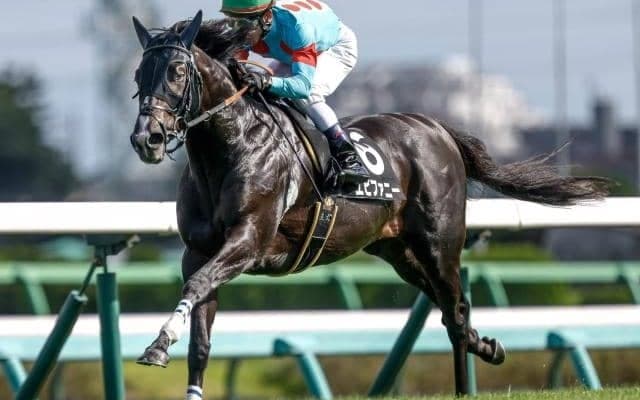 【今日の注目ポイント】中山で中山金杯、京都金杯が4年ぶりに京都で開催