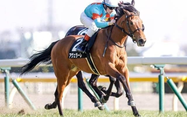 【京都金杯予想】4年ぶりの淀開催 逃げ・先行馬が揃って差し馬優勢か