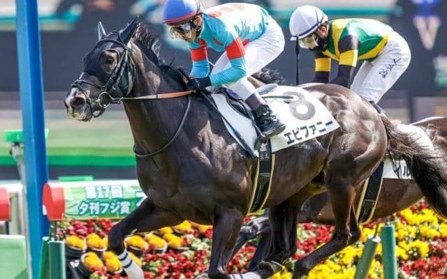 【中山金杯予想】東の幕開け飾る重賞 “Cコース使用”が予想する上でのカギに