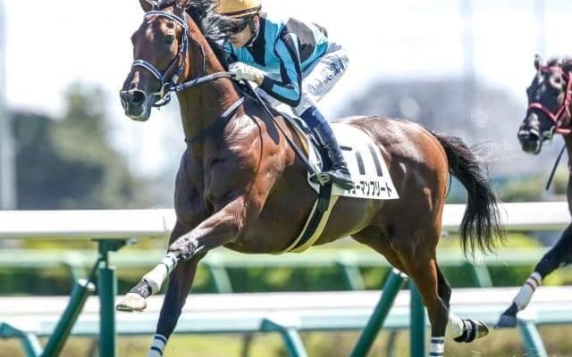 【シンザン記念枠順確定】ショーマンフリートは8枠16番、エコロブルームは7枠13番