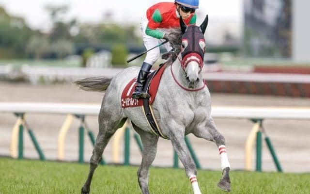 中山芝は高速決着 単騎逃げゴールデンハインドの粘り込みがあるかも