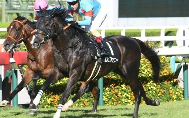 【中山金杯・馬体重】エピファニーは506kg(-6)、ボーンディスウェイは490kg(±0)