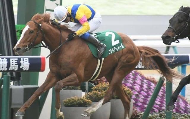 【JRA・WIN5】2024年最初のWIN5は的中49票、配当648万1930円