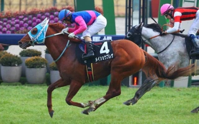 【万葉S】格上挑戦メイショウブレゲが差し切る
