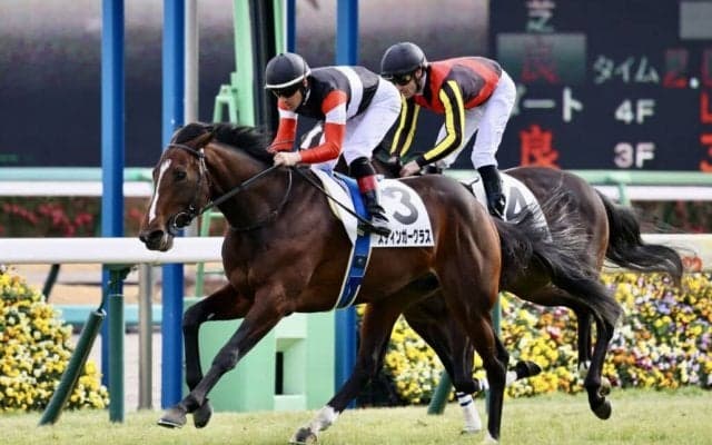 【新馬/中山6R】良血スティンガーグラスがデビュー勝ち