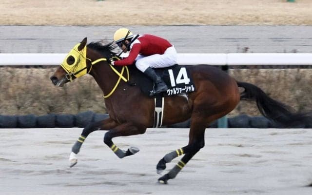 【ポルックスS】ヴァルツァーシャルがオープン初勝利