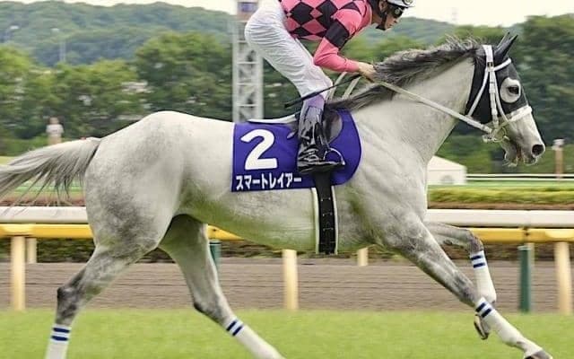 母は重賞4勝スマートレイアー 武豊騎手を背に新馬V狙うスマートワイス