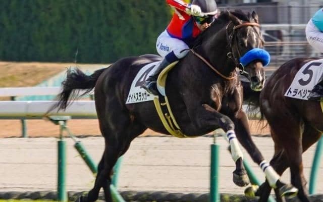 【シンザン記念予想】過去の勝ち馬にはジェンティルドンナやアーモンドアイ 出世レースとして名高い3歳重賞
