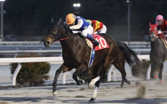 【高知・ベラトリックス特別】モンサンラファータがハナ差凌ぐ…林「手前をかえてからスムーズに」