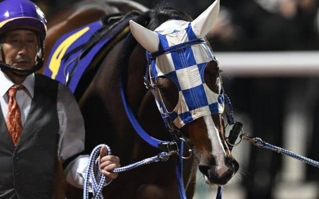 【浦和・ニューイヤーC枠順】好走続くライゾマティクスは8枠10番