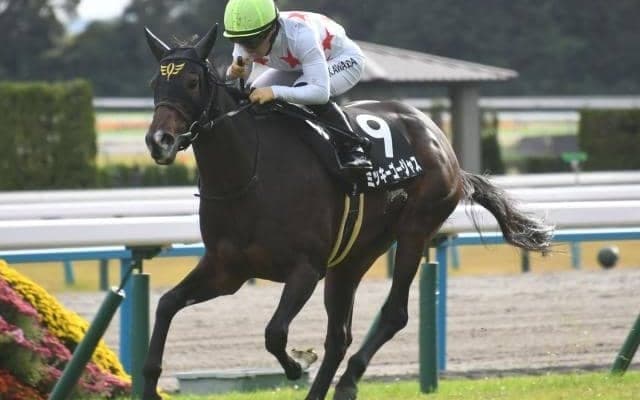 【愛知杯】ミッキーゴージャス、コスタボニータらが登録