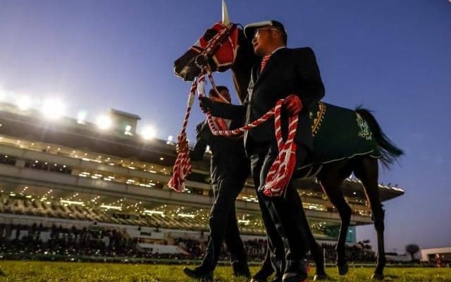 パンサラッサの引退式が行われる 関係者6名のコメント