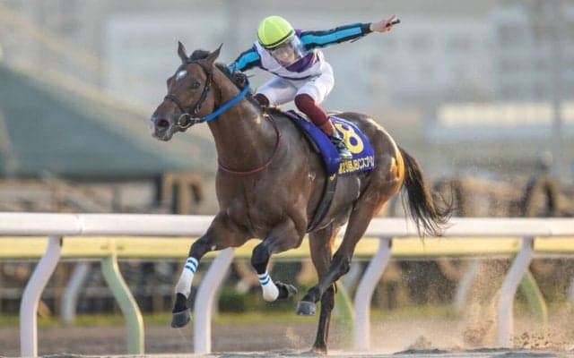 【地方競馬】イグナイターが2年連続で年度代表馬に選出