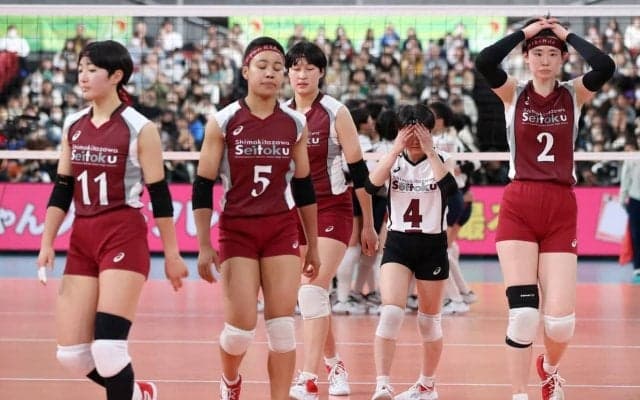 春高バレー　下北沢成徳、サーブレシーブ乱れ…３冠夢散