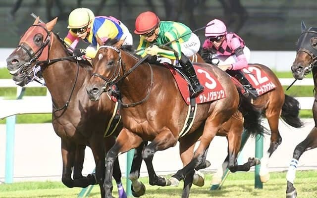 ハンデ戦のGII・日経新春杯など3重賞/今週の競馬界の見どころ