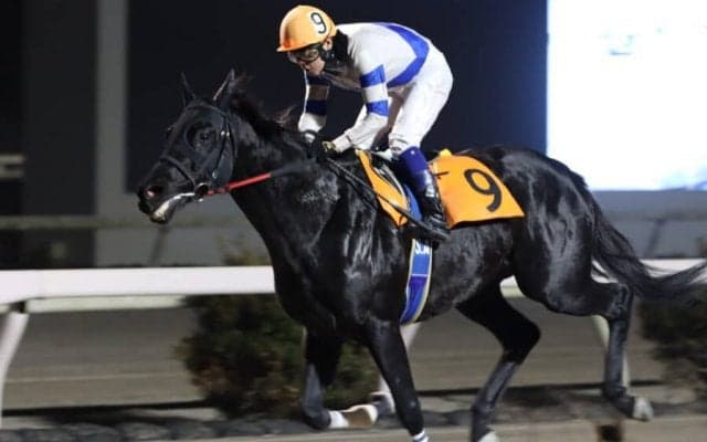 【高知けいば】赤岡修次騎手が地方通算4500勝を達成