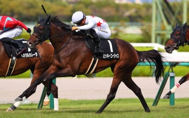 【愛知杯登録馬】ミッキーゴージャスなど15頭