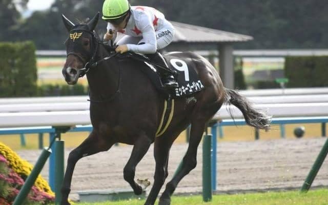 【愛知杯見どころ】ミッキーゴージャスが昇級初戦で重賞初制覇を狙う