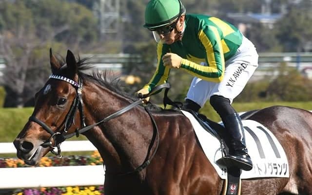 【日経新春杯想定騎手】サトノグランツは川田将雅騎手、ハーツコンチェルトは松山弘平騎手