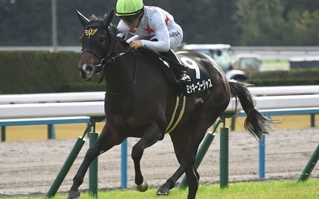 【愛知杯想定騎手】ミッキーゴージャスは川田将雅騎手、セントカメリアは西村淳也騎手
