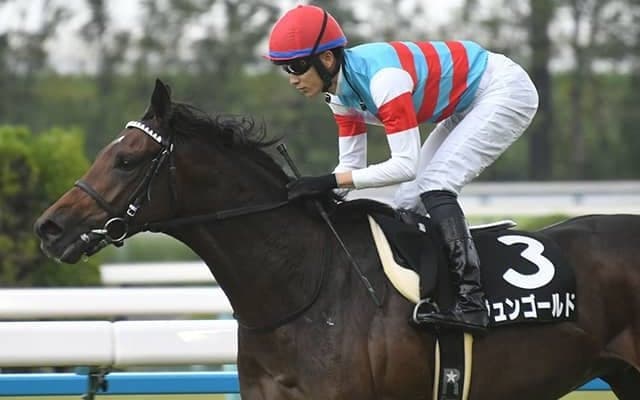 紫菊賞を3馬身半差完勝 友道康夫厩舎の注目馬が無傷京成杯Vへ