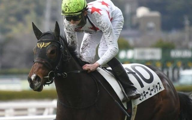 【愛知杯予想オッズ】ミッキーゴージャスが予想1番人気