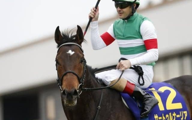 馬産地から24年デビューの“新種牡馬” 評価 ノーザン期待の1頭や日高から「ちょっとおもしろい」産駒も？