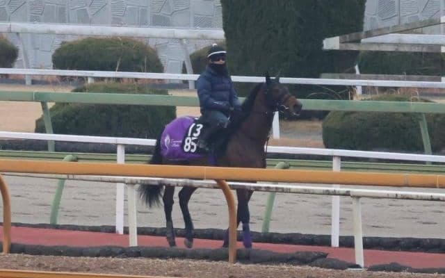 ジャスティンミラノなど、先週の入厩情報/栗東トレセンニュース