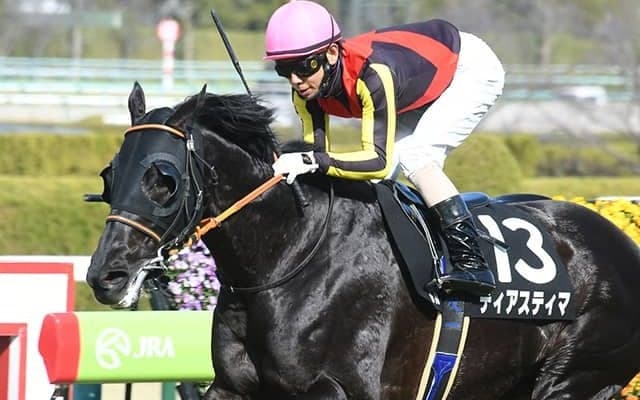 母は米G1・3勝の良血 長距離路線の古豪が日経新春杯V狙う
