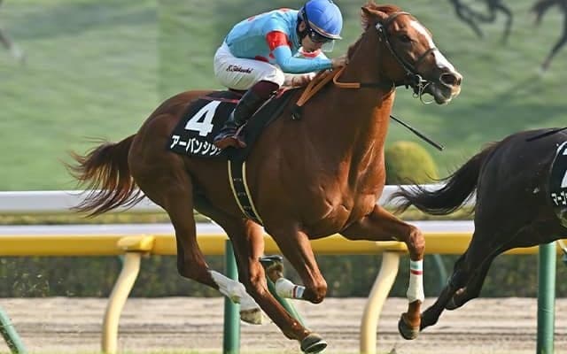 3戦無敗で京成杯Vなるか ホープフルS覇者レガレイラのいとこが初タイトル狙う